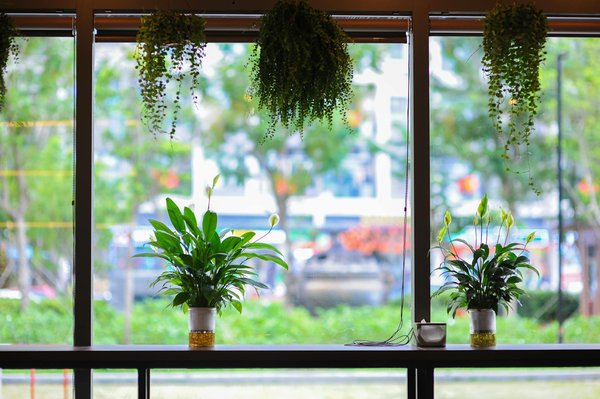 Choisir un compte pro : les meilleurs conseils